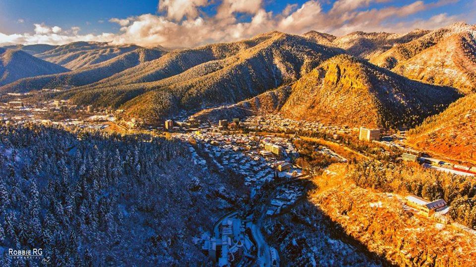 Guest House Besarioni Borjomi Ngoại thất bức ảnh
