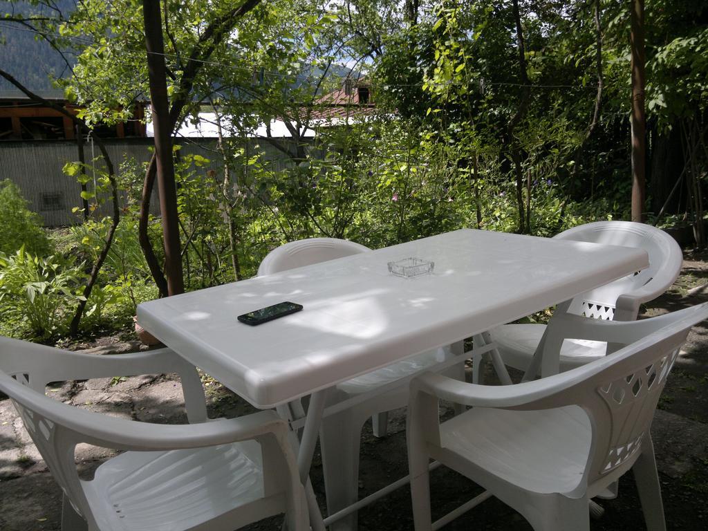 Guest House Besarioni Borjomi Ngoại thất bức ảnh